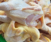 Nhà Phân Phối Thực Phẩm Giá Sỉ - NPP THỰC PHẨM GIÁ SỈ  ĐẶNG GIA FOOD 