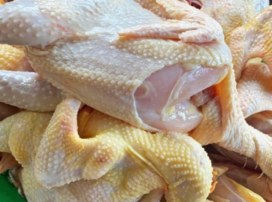 Nhà Phân Phối Thực Phẩm Giá Sỉ - NPP THỰC PHẨM GIÁ SỈ  ĐẶNG GIA FOOD 