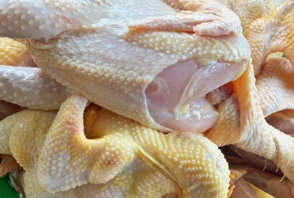 Nhà Phân Phối Thực Phẩm Giá Sỉ - NPP THỰC PHẨM GIÁ SỈ  ĐẶNG GIA FOOD 