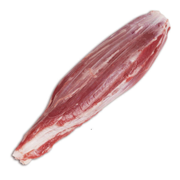Bắp Rùa Trâu Ấn Độ