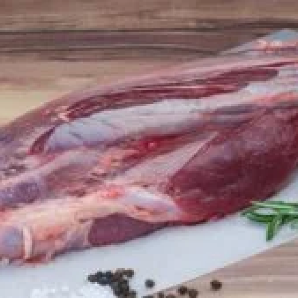 Bắp Rùa Trâu Ấn Độ