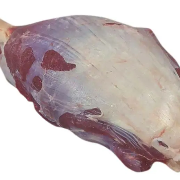 Bắp Rùa Trâu Ấn Độ