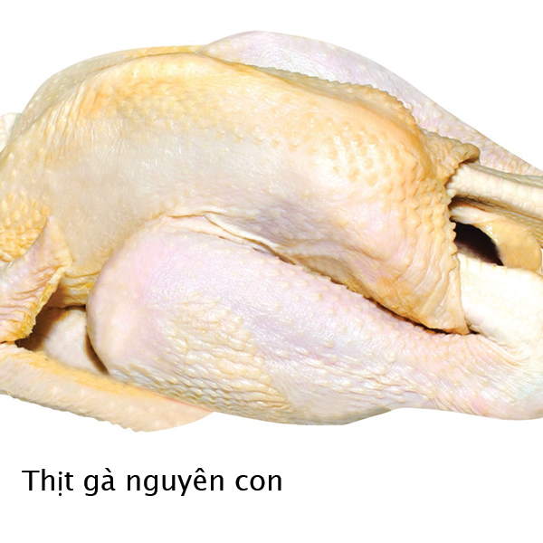 Gà Nguyên Con