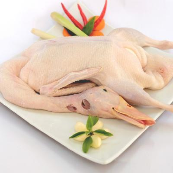 Vịt Nguyên Con